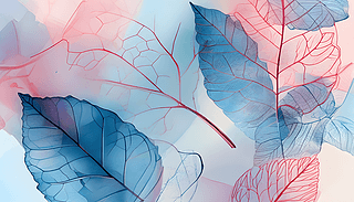 {(ln)ɫLl͸(mng)Ø(sh)~~}y