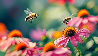 Mļ䱳۷wм(x)(ji)չF(xin)