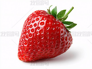 rtMĆwݮ