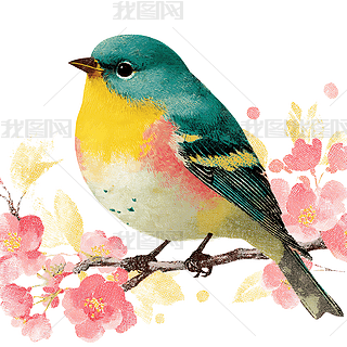 ɐ(i)ͨСB(nio)،(xi)ز