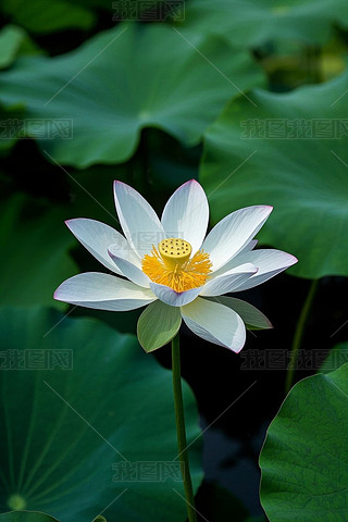 XİɫSɫ܇h(hun)@Gɫ~Ӹ