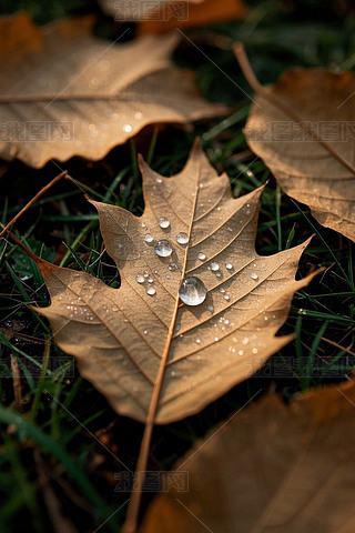 һƬ~ˮθDƬ