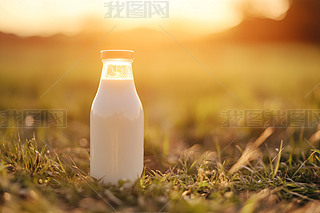 ݵϵƿbţ