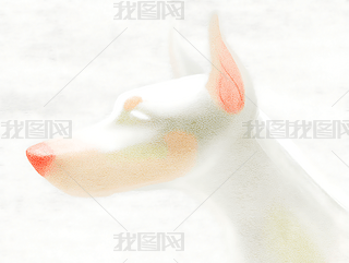 ɐVͨëqСزԪ