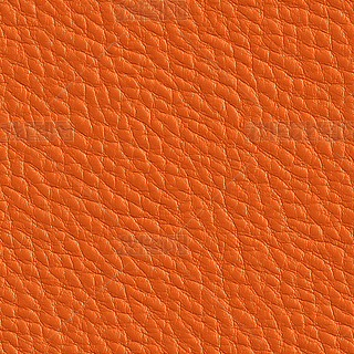 ɫƤ|(zh)ѭh(hun)|(zh)yND