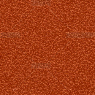 ɫƤ|(zh)ѭh(hun)|(zh)yND