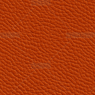 ɫƤ|(zh)ѭh(hun)|(zh)yND