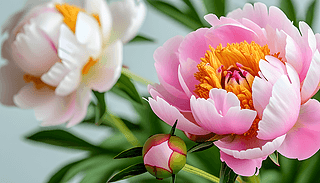 ĵڸɃеrG(hu)չF(xin)