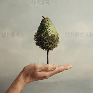 ϵţ͹С