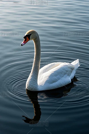 ˮЄ