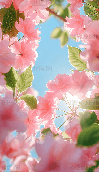 ܰĻ䴺zӰD