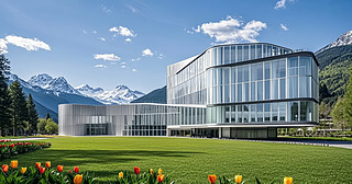 ֹ(ji)F(xin)㻨@I(y)󱳾