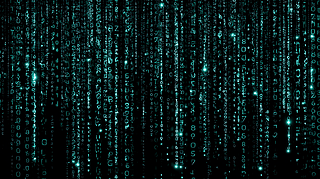 Ƽ䱳Bز