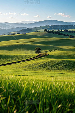 һƬGɫҰһùª(d)Ę