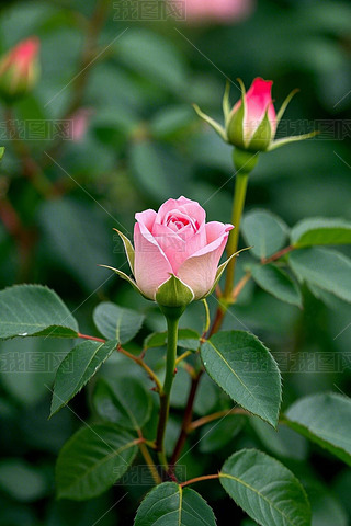 @һۼtɫõھ`