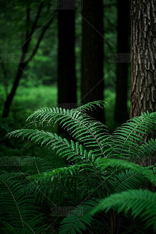 ɭLһNާֲ