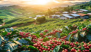 ůڵꖹl(xing)忧ȼӹSƫh(yun)ķN