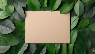 y(f)ż|(zh)bж(sh)ǳm붨