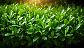 ߺ͹âճӿF(xin)(jin)g