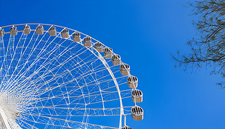 Ɲe˹̹ʲɼ{ƝΘ@(ni)ۂİɫ