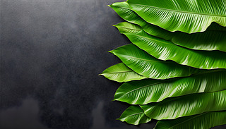 Ϥᴺ`ıO(sh)Ӌ(j)(f)ƿgV