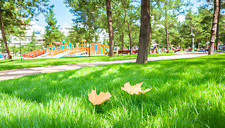 Ռoһ(g)L(fng)(yu)ĳй@ȻT