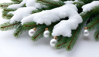 ϲcɼ(sh)֦bɫʥQ򱳾