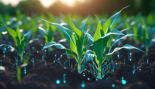 M(jn)ȫϢg(sh)(qing)I(lng)Ą(chung)ֲо