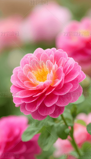 ɫջӌӯB