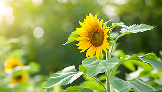 rGտλ[[ľGɫֲзǳm