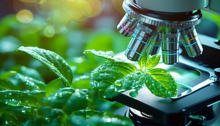 @΢R¶ˮ~Ӱl(f)rGľGɫâ׽