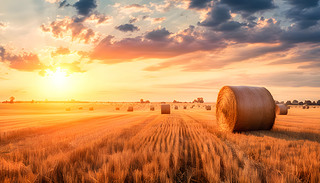 l(xing)徰^ϵĽɫչʾ˳Mr(nng)ϵ