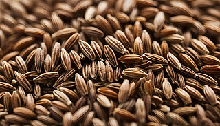 Ԕ(x)׽ɫ|ӷNӵď(f)sy