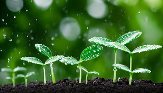 rľGɫc(din)YˮwF(xin)ڳM(mn)