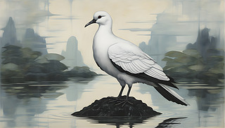 ۂİ(yu)ŵؗϢڌ?k)oı