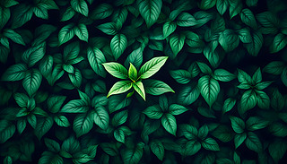 ۂĴ䴣C(j)[[ľGɫɭ
