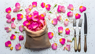 ޹²ݻl(xing)偆(du)Ƀİɫ