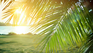 ۂؙڜůꖹ(yu)ŵ?f)uҷ