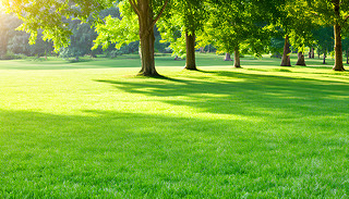 (yng)ĵļ@[[ľGɫƺͳ