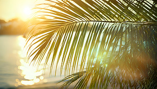 ۂؙWWl(f)e(cu)C(f)s~ӱ