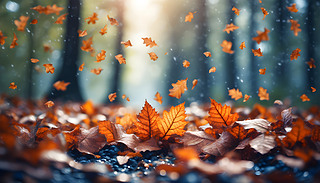 ꖹĵĢژľh(hun)@ɭֵѳL