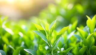 ꖹĵLһóMĘľB(ti)Ѻ