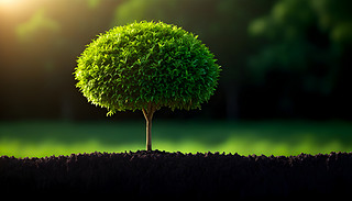 ꖹĵľGǰwF(xin)LȻ