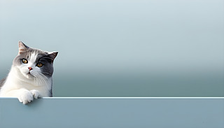 ꖹĵӢë؈|ľ
