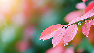 ꖹ³MľG~WWl(f)ɢЧ