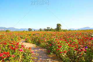 (yng)➢ʵrջch(yun)ɽӳȤ