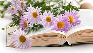 һ_ĕČoc(din)Yµrl(f)