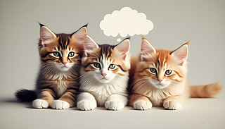 һ(du)ɐ(i)С؈ӡͺڰ׈D͵