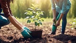 һ(g)Ůһ(g)һСL(zhng)