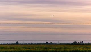 һSɫwC(j)ڷۼtɫԡڌ?k)o